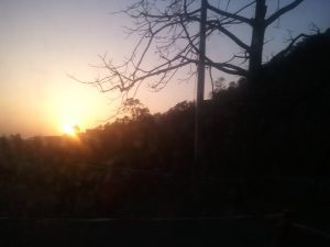 Last rays of sun in the hills. Outside Shimla.