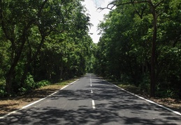 Kaladhungi, Uttaranchal